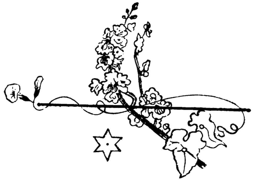 Flowering vines and a six-pointed star above a line.