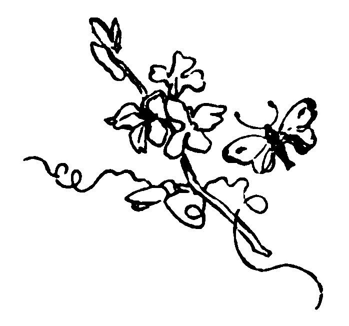 A flowering vine and a butterfly.