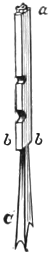 example of type