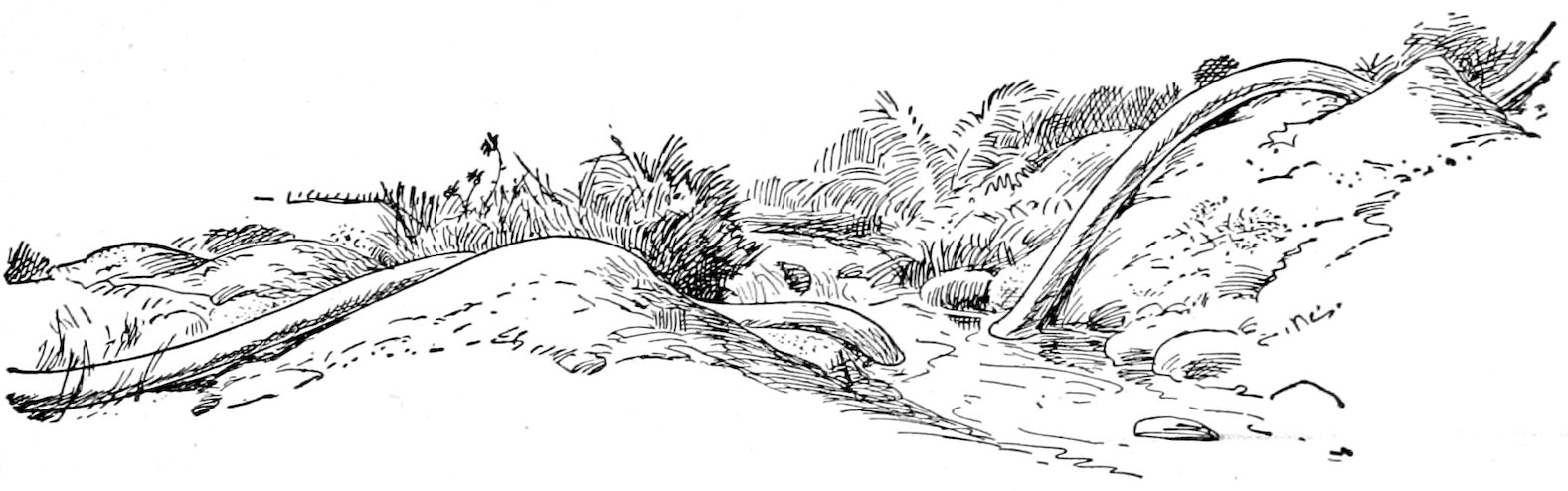 An exceptionally long, snaking neck stretching across a landscape of hills and a stream.