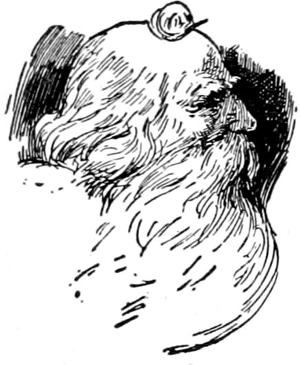 A profile illustration of an elderly, bearded man with a small object resting on top of his head.