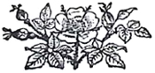 image047
