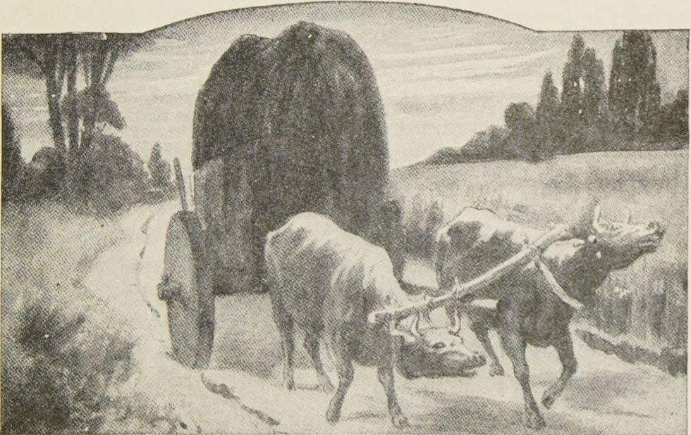 The animals pull the ark home.