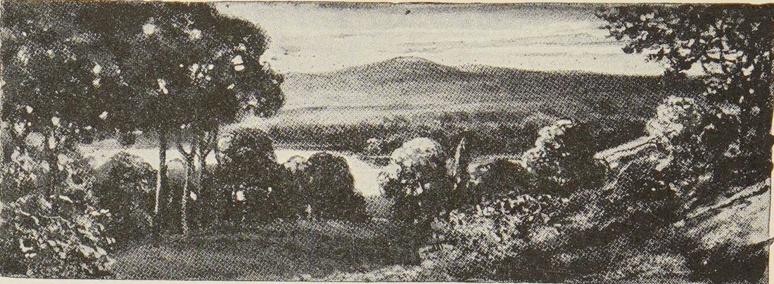 A Landscape.
