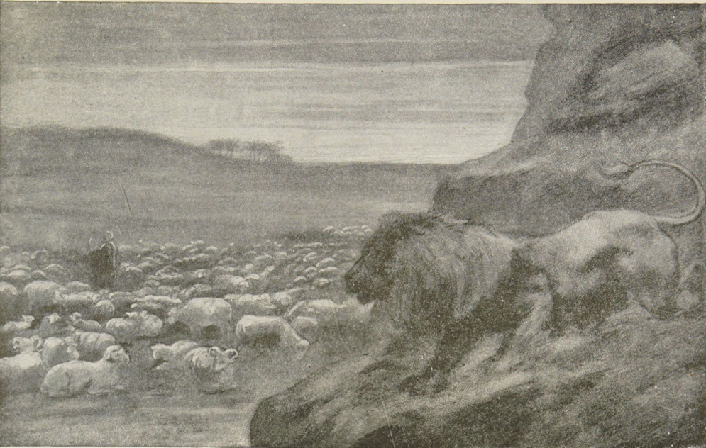 A shepherd and his flock.