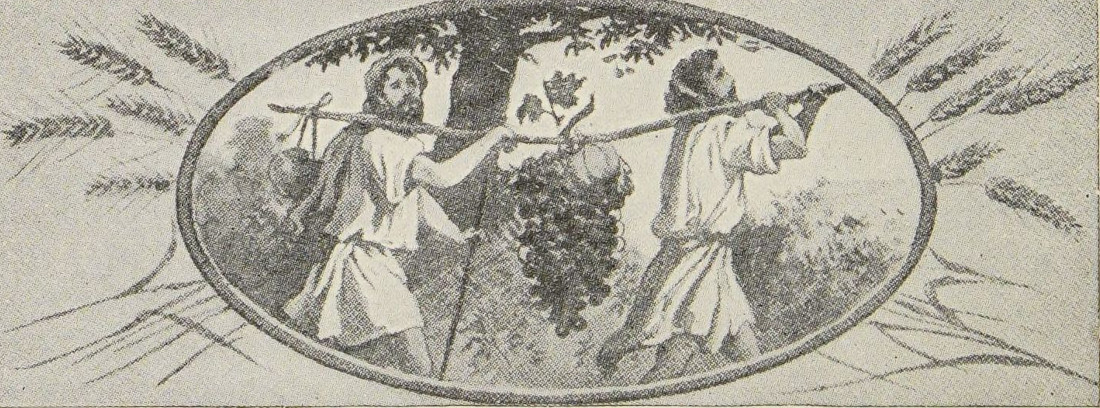 A vine with fruit.