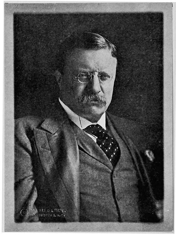 Portrait of Theodore Roosevelt.