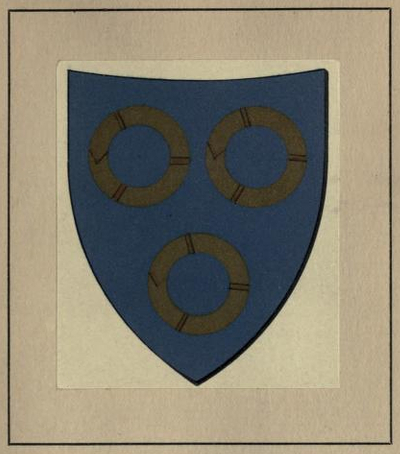 Cherchi shield: three gold rings on a blue field.