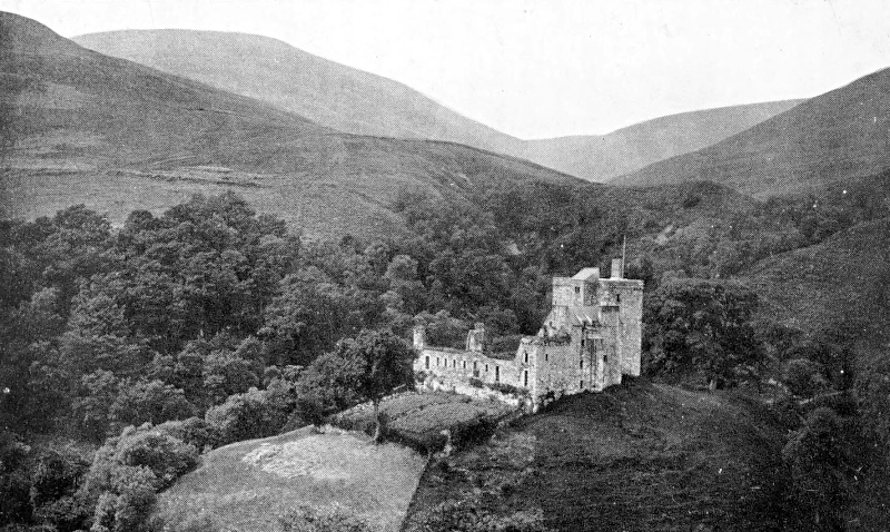 campbell