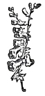 image010