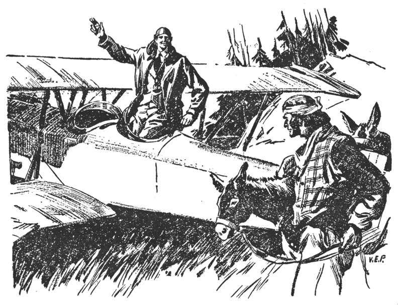 a downed flyer asking for help