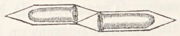 cross-sectional drawing of paired cones.
