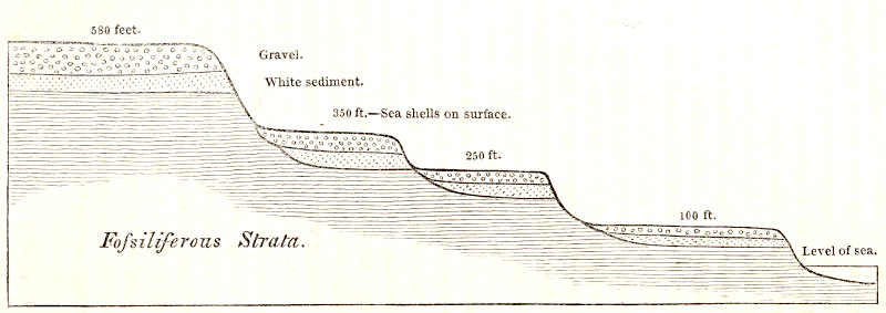 Cross-sectional drawing of the strata near the coast