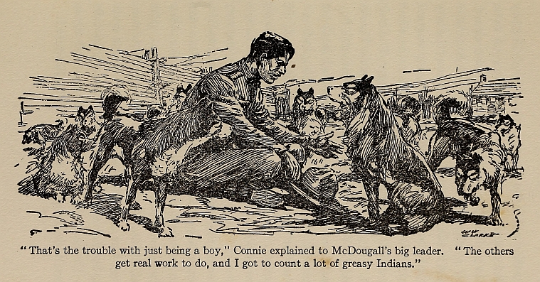 "That's the trouble with being just a boy," Connie explained to McDougall's big leader.  "The others get some work to do. And I got to count a lot of greasy Indians."