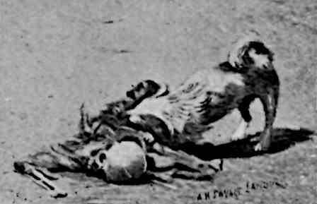A small dog eating a similarly small skeletal corpse