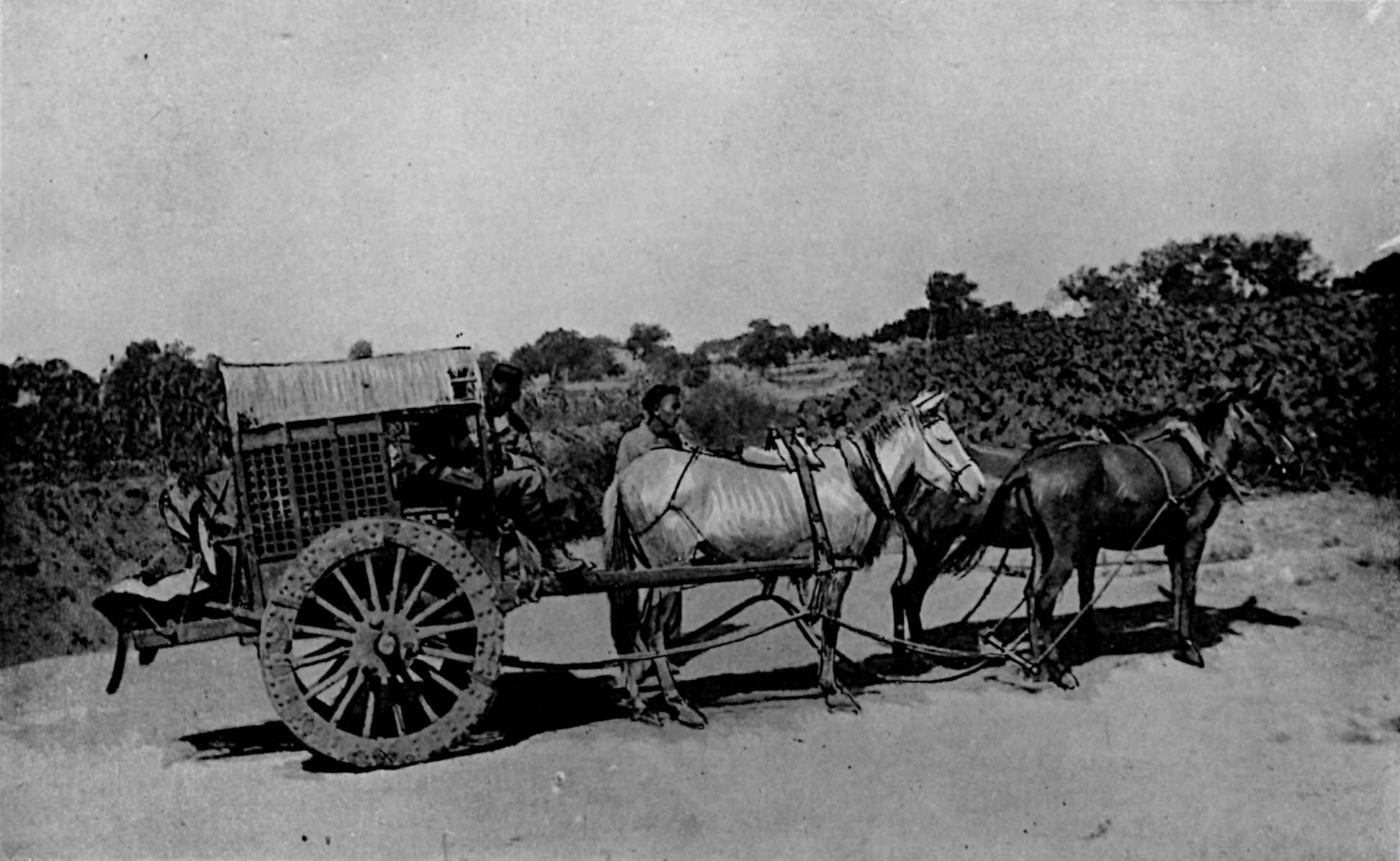 Stationary cart with horses or mules connected in front