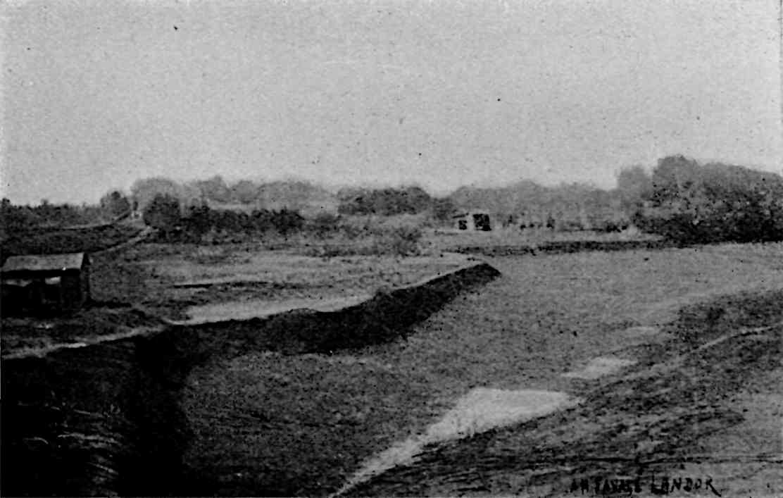 A hilly field, with trees in background