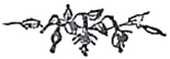 image015