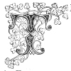drop-cap T