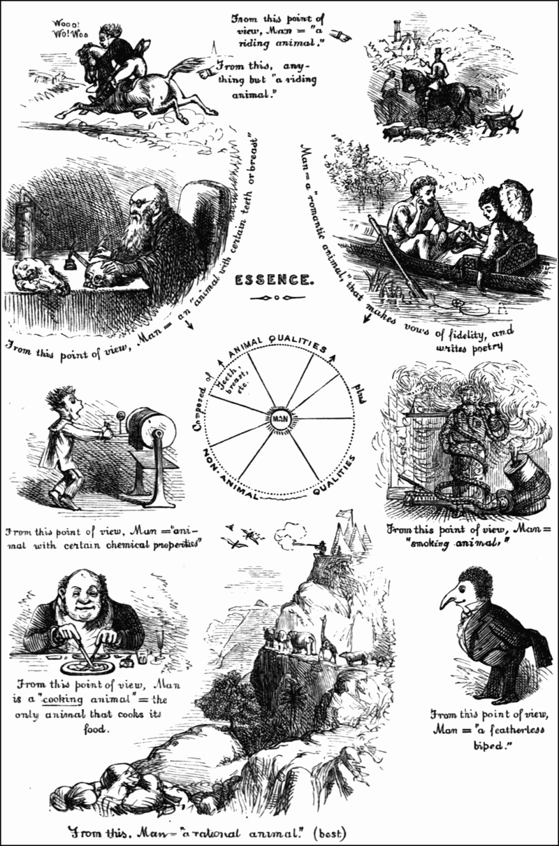 a collection of images describing man from different points of view