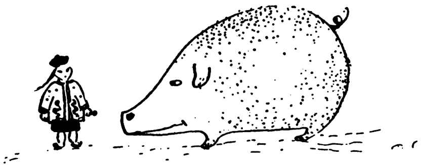Person and pig
