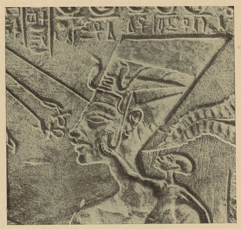 Porträt der Königin aus dem Relief Berl. Mus. Nr. 14145.