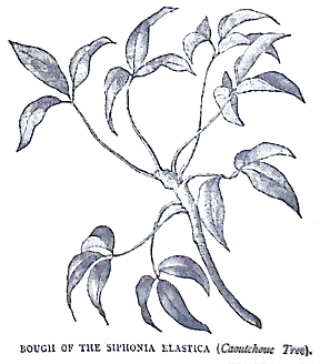 image012