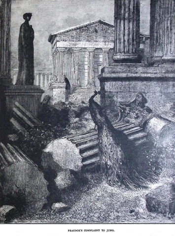 image036
