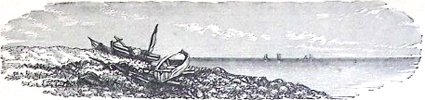 image066