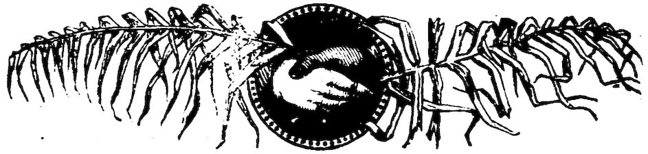 A black and white vintage illustration showing two hands shaking inside a central circular medallion flanked by leafy branches or skeletal fronds.