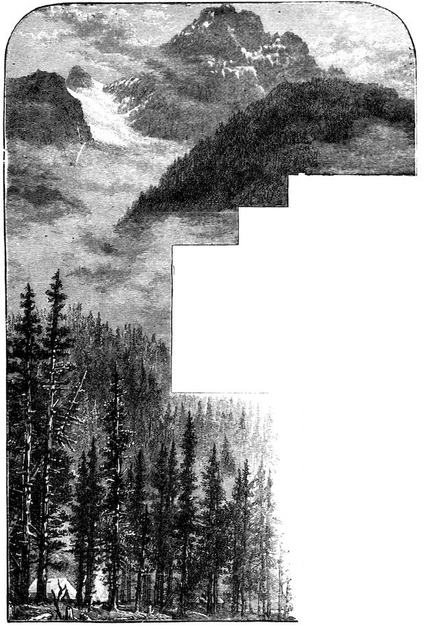 A mountainous landscape with a dense pine forest in the foreground and towering peaks under a cloudy sky.