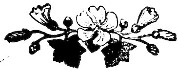 A floral motif featuring a central blossom, leaves, buds, and bell-shaped flowers.