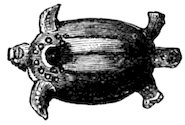 A turtle-shaped artifact with patterned shell details and extended flippers.