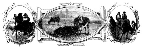 A central pastoral landscape featuring cattle in a field within an elongated pointed frame, flanked by two oval frames containing groupings of birds.