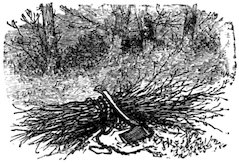 A bundled faggot of sticks resting on the ground with an axe laid across it, set against a wooded background.