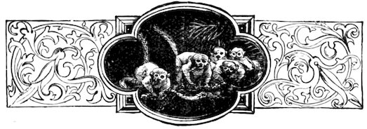 A group of lemurs with long tails in a forest setting, centered inside an ornate lobed frame flanked by scrolling panels.