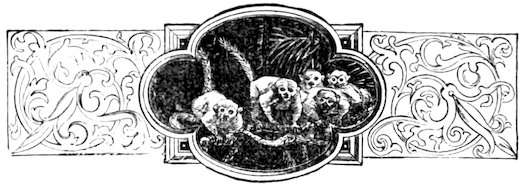 A group of lemurs with long tails in a forest setting, centered inside an ornate lobed frame flanked by scrolling panels.