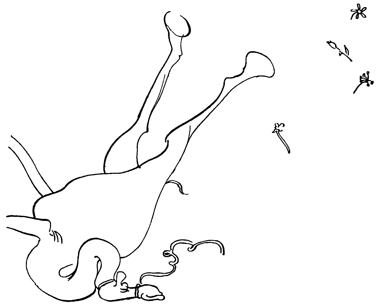 Cartoon of the camel falling in its face