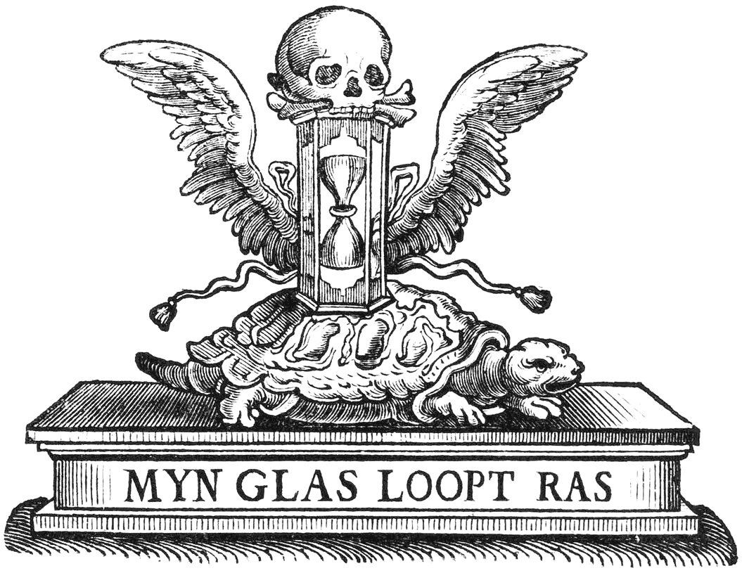 MYN GLAS LOOPT RAS
