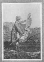 A PRETTY PAIR OF WINGS