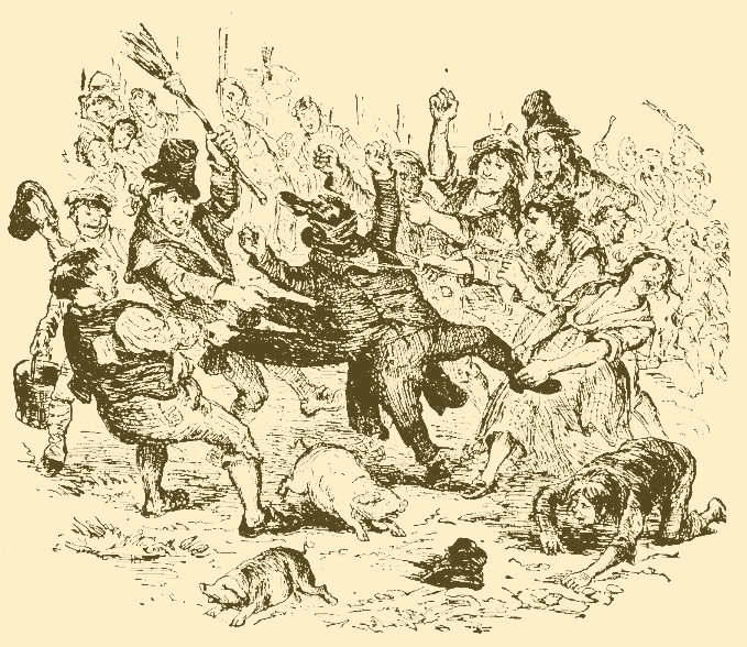 Mr. Crow Well Plucked.