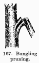 [Illustration: Fig. 167. Bungling pruning.]