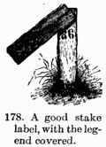 [Illustration: Fig. 178. A good stake label, with the legend covered.]