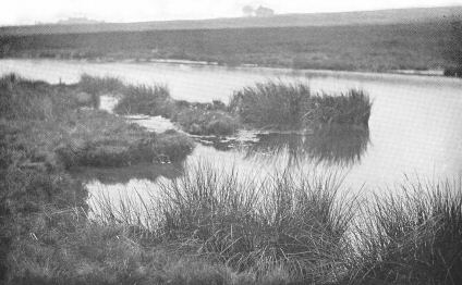 Illustration: Moorland scene (with water): Haworth