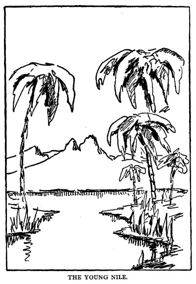 The Young Nile