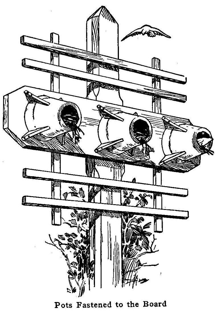 Pots Fastened to the Board