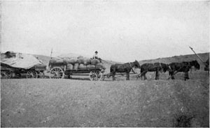 A Montana Wool-Freighter.