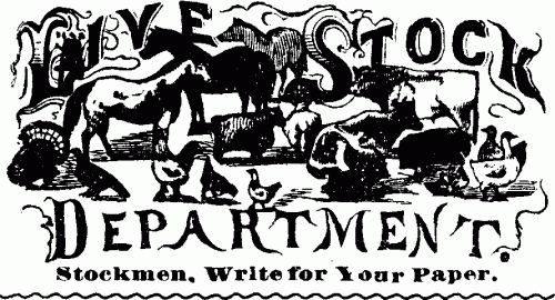 LIVE STOCK DEPARTMENT. Stockmen. Write for Your Paper.