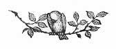 chapter footer chapter footer