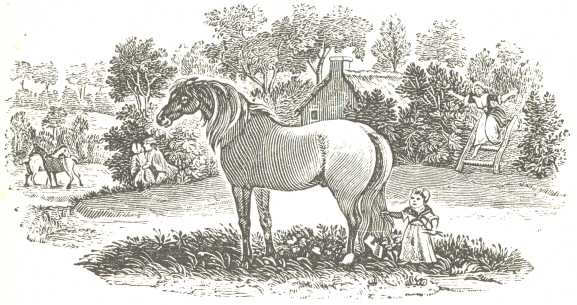 Tailpiece.  From the same.  Engraved, after T. Bewick, by John
Jackson